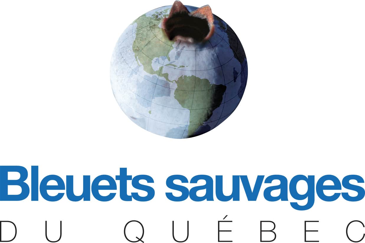 Bleuets sauvages du Québec